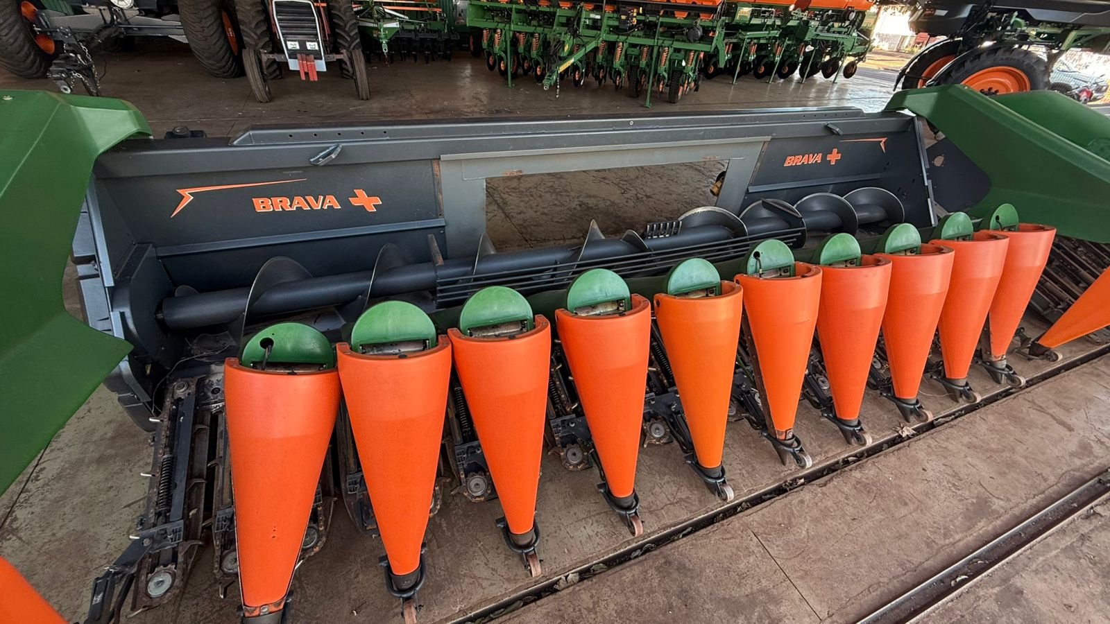 WhatsApp-Image-2025-09-25-at-16.45.59-1