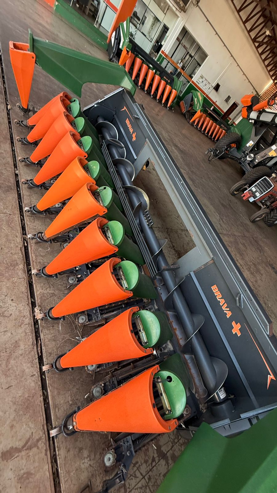 WhatsApp-Image-2025-09-25-at-16.45.59-2