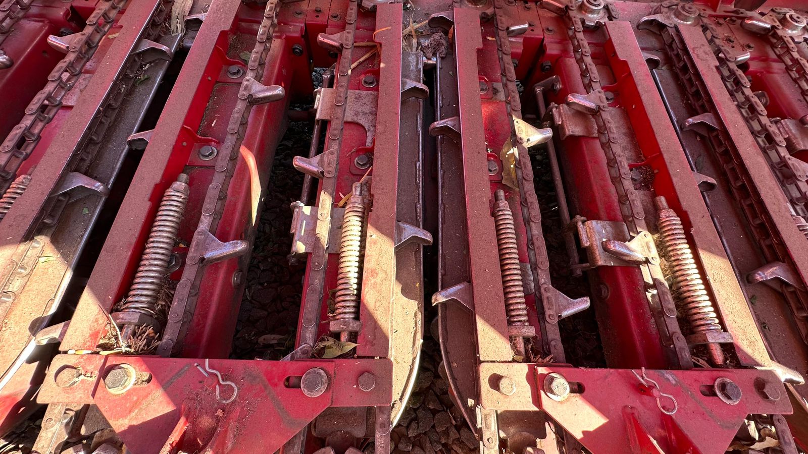 WhatsApp-Image-2025-11-11-at-08.11.26