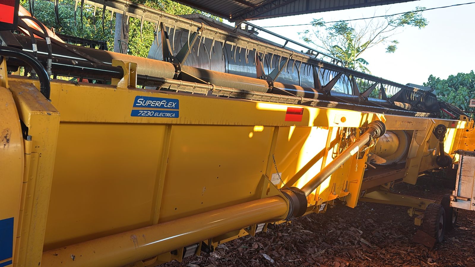 WhatsApp-Image-2025-12-12-at-17.09.08