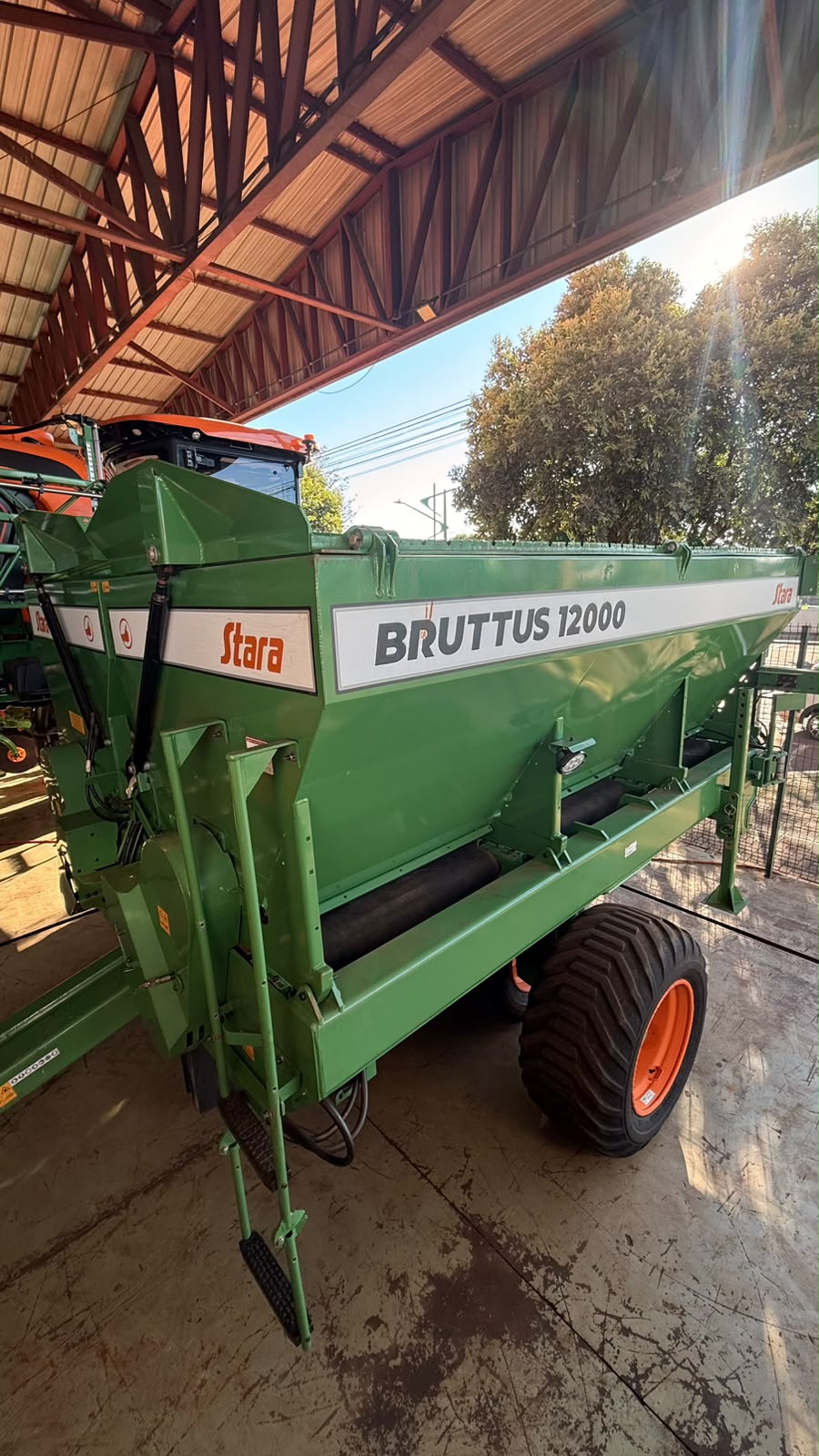 Brutus-11